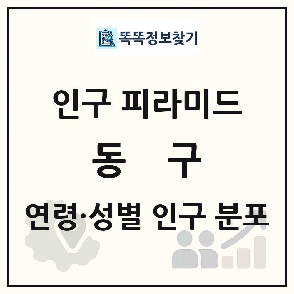 동구 인구 피라미드 링크 그림